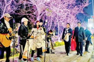 Những nhóm nhạc đường phố biểu diễn tại đường hoa và ánh sáng nghệ thuật.