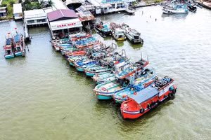 Cảng cá Sông Đốc những ngày giáp Tết Nguyên đán nhộn nhịp tàu khai thác vào bờ bán sản phẩm, kết thúc chuyến biển cuối năm thắng lợi.