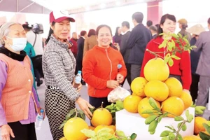 Người dân xã Nội Bài lựa chọn hoa quả trưng Tết tại Không gian Xuân Đoàn Viên.