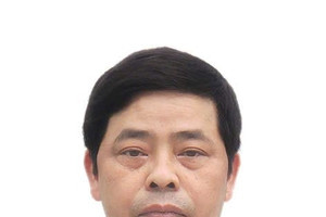 Xây dựng hành lang pháp lý, thúc đẩy thực thi