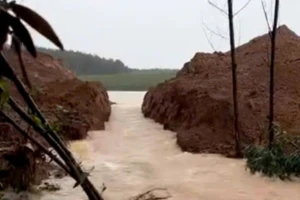Đơn vị thi công phá dỡ đê quai để hạ thấp mực nước nhằm bảo đảm an toàn cho hạng mục đập chính của hồ Dạ Lam.