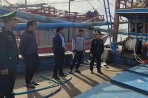 Cán bộ, chiến sĩ của Đồn Biên phòng Lý Hòa kiểm tra tàu cá vi phạm quy định khi đánh bắt trên biển.