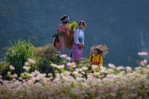 Ngày Văn hóa các dân tộc Việt Nam (19/4) năm 2026 sẽ diễn ra từ ngày 17 đến 19/4 tại Làng Văn hóa-Du lịch các dân tộc Việt Nam (xã Đoài Phương, thành phố Hà Nội).