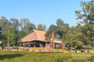 Làng Văn hóa-Du lịch các dân tộc Việt Nam là thiết chế quan trọng trong mạng lưới cơ sở văn hóa quốc gia. 