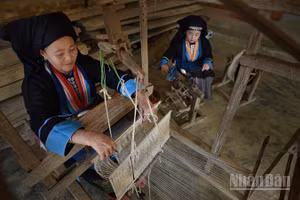 Số hóa sẽ góp phần đưa di sản đến gần hơn cộng đồng. 