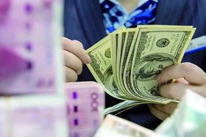 Nhân viên ngân hàng đang kiểm đếm USD. (Ảnh: Tân Hoa xã)
