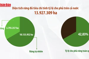 [Video] Giữ “lá phổi xanh” - giữ lấy tương lai