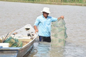 Nông dân xã Mỹ Thành, tỉnh Đồng Tháp giăng 12 cửa ngục để bắt thủy sản trên đồng ruộng.