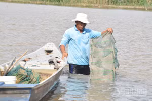 Nông dân xã Mỹ Thành, tỉnh Đồng Tháp giăng 12 cửa ngục để bắt thủy sản trên đồng ruộng.