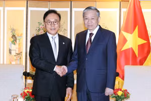 Tổng Bí thư Tô Lâm tiếp ông Park Soo Kwan, nguyên Tổng lãnh sự danh dự Việt Nam tại khu vực Busan - Gyeongnam. (Ảnh: TTXVN)