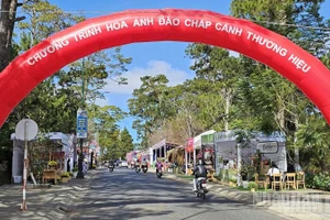 Không gian tổ chức chương trình “Hoa mai anh đào chắp cánh thương hiệu Đà Lạt”.