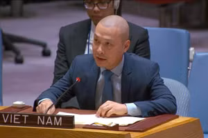 Công sứ Nguyễn Hoàng Nguyên, Đại biện lâm thời Phái đoàn thường trực Việt Nam tại Liên hợp quốc (New York) phát biểu tại phiên họp.