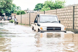 Mưa lũ gây ngập lụt ở tỉnh Maputo của Mozambique. (Ảnh TÂN HOA XÃ)