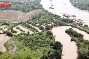 [Video] Thành phố Hồ Chí Minh rà soát quỹ nhà, đất tái định cư, tránh lãng phí
