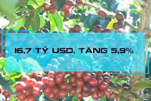 [Video] Xuất khẩu nông, lâm, thủy sản quý I-2026 đạt gần 16,7 tỷ USD