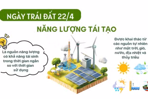 [Video] Nhân ngày Trái đất 22/4: Năng lượng tái tạo – Chìa khóa cho tương lai xanh của Trái đất
