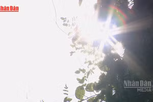 [Video] Dự báo nắng nóng gay gắt trên diện rộng trong tháng 5