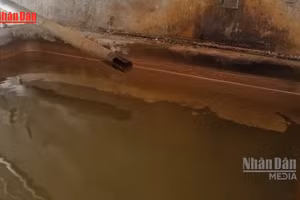 [Video] Nhiều hộ dân tại Đạ Tẻh thiếu nước sạch do nguồn nước nhiễm phèn kéo dài