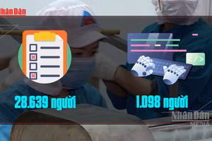 [Video] Gần 30.000 người ở TP Hồ Chí Minh nộp hồ sơ hưởng trợ cấp thất nghiệp