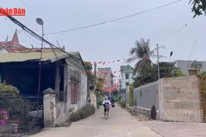 [Video] Tô thắm phẩm chất Bộ đội Cụ Hồ trong thời bình