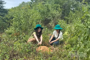 Cán bộ dự án tham gia trồng cây cùng bà con dân bản. 