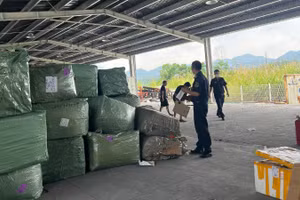 Lực lượng hải quan kiểm tra lô hàng quá cảnh có dấu hiệu vi phạm quyền sở hữu trí tuệ tại khu vực cửa khẩu. (Ảnh: CHQ)