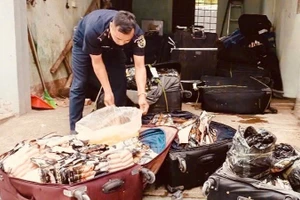 Qua công tác kiểm soát, lực lượng hải quan đã liên tiếp phát hiện, bắt giữ hơn 1,8 tấn thực phẩm đông lạnh nhập lậu, không rõ nguồn gốc xuất xứ.