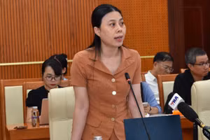 Bà Trịnh Thị Hương, Phó Cục trưởng Cục Phát triển doanh nghiệp tư nhân và kinh tế tập thể. 