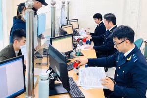 Cục Hải quan cũng yêu cầu các Chi cục Hải quan khu vực tăng cường công tác tuyên truyền, phổ biến nội dung Quyết định số 482/QĐ-TTg đến cộng đồng doanh nghiệp.