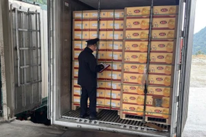 Cục Hải quan yêu cầu các Chi cục Hải quan khu vực trực 24/7, tập trung ưu tiên giải quyết nhanh thủ tục đối với các lô hàng thực phẩm nhập khẩu còn tồn đọng.