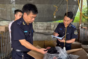 Lực lượng hải quan kiểm tra lô hàng có dấu hiệu vi phạm quyền sở hữu trí tuệ tại cửa khẩu. (Ảnh: CHQ) 
