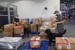 Lực lượng hải quan tăng cường kiểm tra, kiểm soát hàng hóa tại cửa khẩu. 