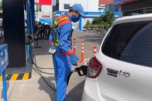 Hoạt động bán lẻ xăng dầu tại cửa hàng trong nước.