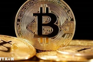 Tổ chức cung cấp dịch vụ tài sản mã hoá có thể bị phạt tới 200 triệu đồng nếu vi phạm điều kiện hoạt động. (Ảnh: TTXVN)