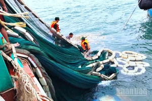 Cán bộ, chiến sĩ Đồn Biên phòng Hòn Chuối hỗ trợ trục vớt lưới đánh cá đưa lên tàu cứu nạn.