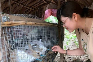 Thay vì cho "con cá", chiến lược mới của Cà Mau là "trao cần câu" để người dân có sinh kế thoát nghèo bền vững.