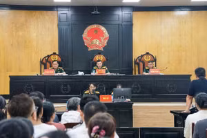 Hội đồng xét xử cấp phúc thẩm.