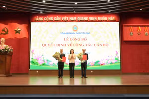 Phó Chánh án Tòa án nhân dân tối cao Nguyễn Hải Trâm trao quyết định bổ nhiệm cán bộ.
