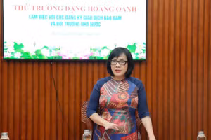 Thứ trưởng Tư pháp Đặng Hoàng Oanh tại buổi làm việc. (Ảnh: H.MÂY)