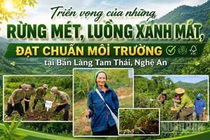 (Ảnh có yếu tố AI)