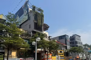 Khoảng 59% mong muốn tối ưu lợi suất cho thuê, trong khi chỉ 23% đặt kỳ vọng lớn vào việc giá tài sản tăng. (Ảnh: HNV)