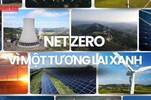 [Video] Chọn Net Zero – Chọn sống khỏe, sống xanh