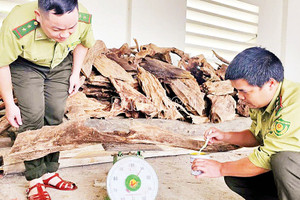 Tin tức