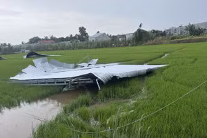 Dông lốc thổi bay mái nhà dân xuống ruộng lúa ở phường Trung Nhứt.