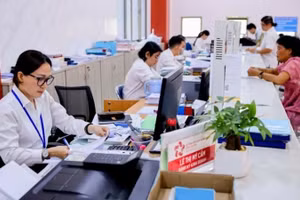 Đẩy mạnh bồi dưỡng kiến thức, kỹ năng số cho cán bộ, công chức, viên chức. (Ảnh: baochinhphu.vn)