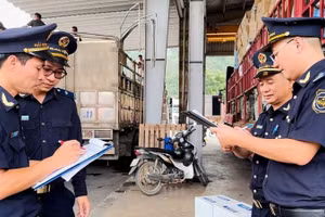 Thay đổi phạm vi địa bàn hoạt động hải quan. (Ảnh: baochinhphu.vn)