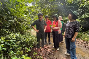 Lãnh đạo Viện Dược liệu, Trung tâm Tài nguyên Dược liệu, Trung tâm Dược liệu Bắc Trung Bộ khảo sát tiềm năng dược liệu tại Vườn quốc gia Vũ Quang.