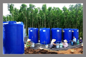 Nước ngọt về miền quê. (Ảnh Nghệ sĩ Nhiếp ảnh Nguyễn Thanh Dũng)