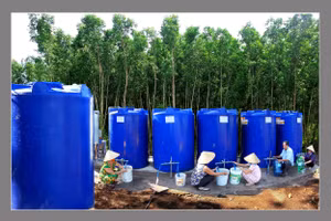 Nước ngọt về miền quê. (Ảnh Nghệ sĩ Nhiếp ảnh Nguyễn Thanh Dũng)