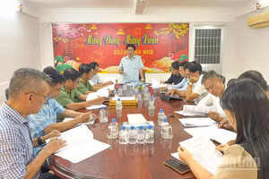 Phó Giám đốc Sở Văn hóa, Thể thao và Du lịch tỉnh Vĩnh Long Cao Quốc Dũng phát biểu tại buổi họp. (Ảnh: BÁ DŨNG)